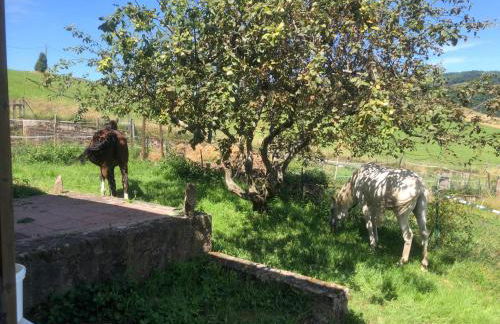 Maison pittoresque à Sainte-Croix-aux-Mines, vue sur la montagne - Foto 56