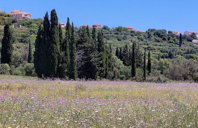 Villa Elaionas 1 - Foto 37