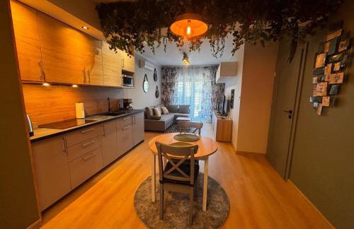 Oliwkowy - stylowy Apartament w naturalnym klimacie - Photo 75