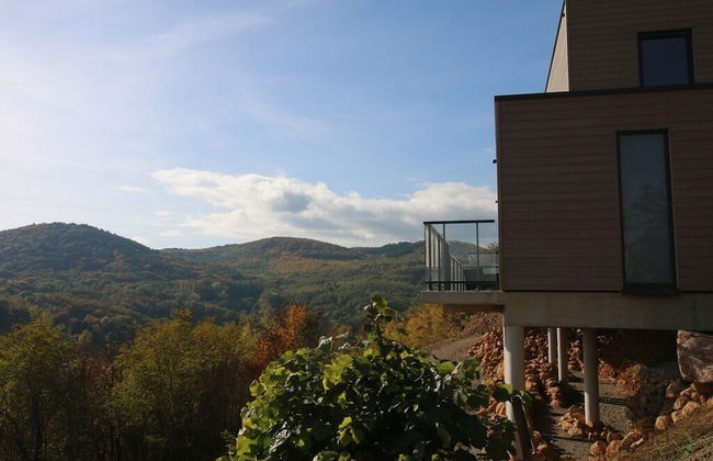 Terrasses D'alsace - Foto 40
