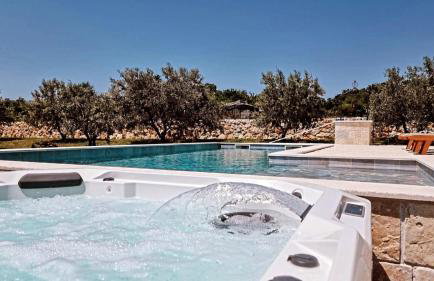 NEW 2023 Villa Tree of Life - Photo 48