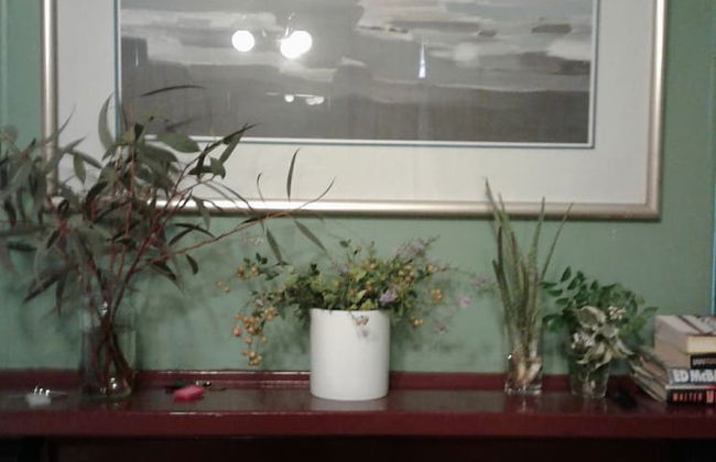 Bourke Apartments - Foto 5