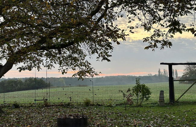 6 Person Holiday Home in Praesto-by Traum - Foto 20