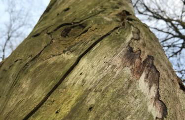 Peeneurlaub - Foto 49