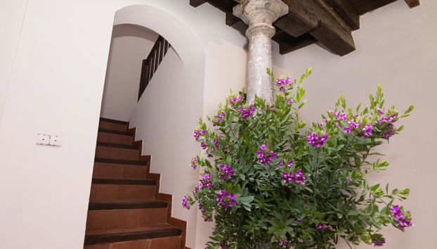 Apartamentos Nahira Suites 3000 - Foto 2