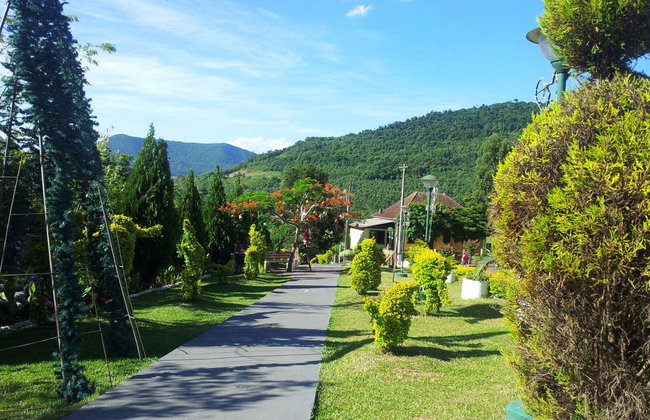 Escursione a Imigrante, Estrela e Colinas - Foto 2