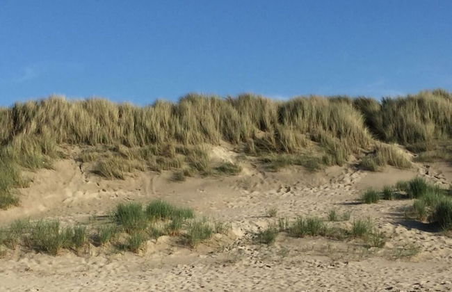 Holiday Home in Renesse - Photo 12