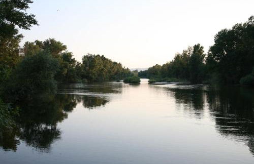 Gîtes Château de la Selve - Foto 43