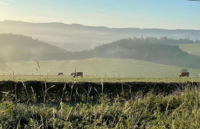 Holiday Home in Walloon Ardennes - Foto 39