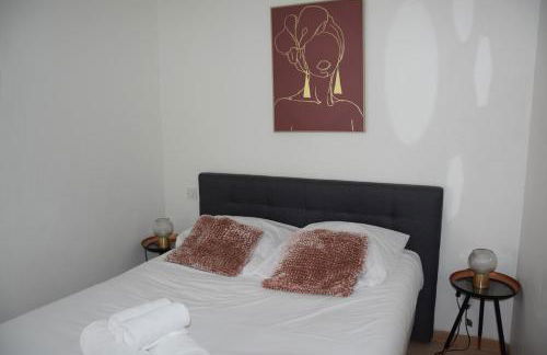 Cozy atmosphere 4pers near Eurexpo GroupamaStadium - Foto 2