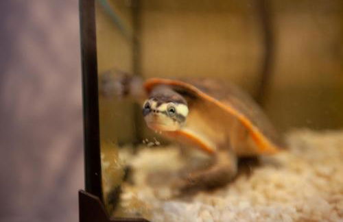 ArtistMemory Appartement - Foto 73