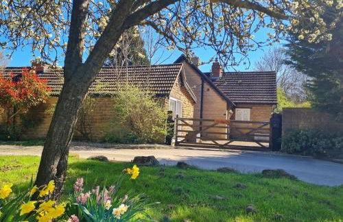 Stylish Open Plan Guest House 400sq ft Rutland - Photo 4