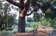 Quinta de Argos - Foto 10