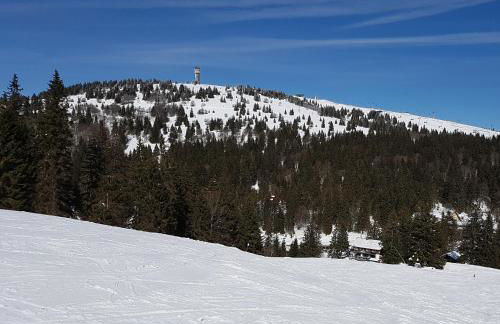 Enjoy Ferienwohnung Feldberg Grafenmatt - Foto 27