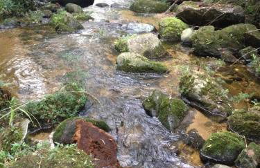 Sítio Bosque Magico - Foto 47