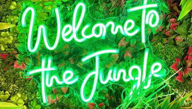 Jungle Suite Jacuzzi Spa Terrasse, Wi-Fi & Parking PV - Photo 2