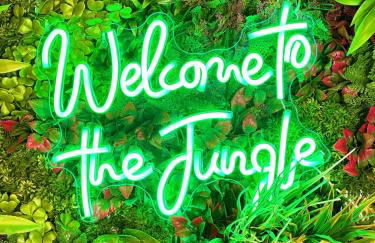 Jungle Suite Jacuzzi Spa Terrasse, Wi-Fi & Parking PV - Foto 2