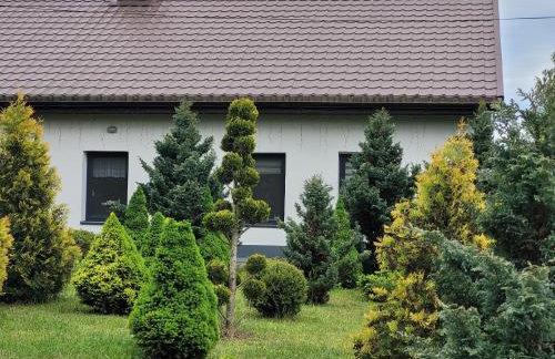 Gęsia Sielanka - Foto 3