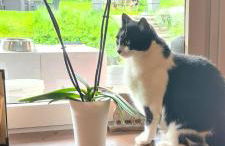 Hôtel et Appart'Hôtel Restaurant L'Adray - Foto 104