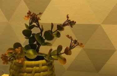 StudioX, perto de tudo, garagem - Foto 6