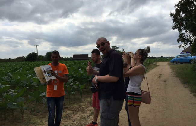 Viñales Valley Day Trip - Photo 7