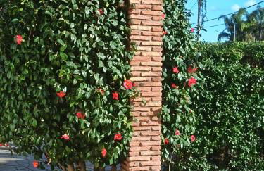 Villa Mariposa - Foto 20