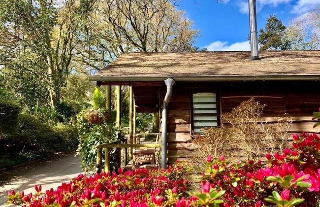 Pinetum Garden Cottages - Photo 66