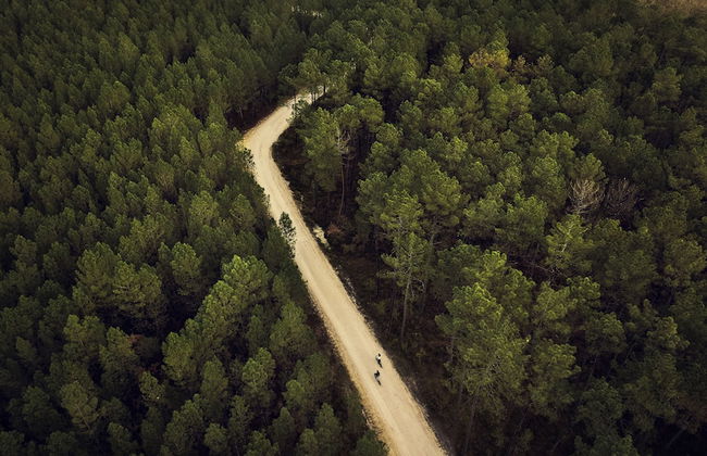 Center Parcs Les Landes de Gascogne - Foto 76