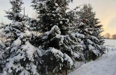 Sunset- Dom zachód słońca Spa - Foto 76