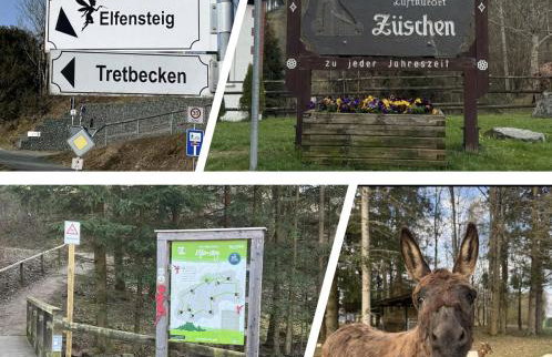 Top-Schlafkomfort & Bergblick Natur pur perfekt zum Wandern und Radfahren - Photo 2