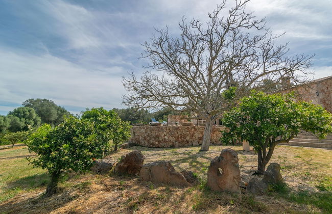 Son Barrigo in Porreres - Foto 31