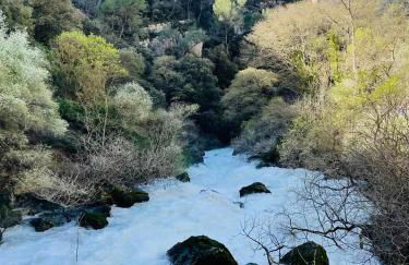 Villa du Chêne Vert Tout confort Option jacuzzi - Foto 28
