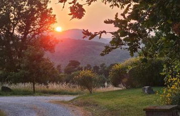 Villa Tiberini Wine Relais - Foto 11