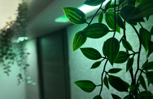 Jungle lodge - Photo 28