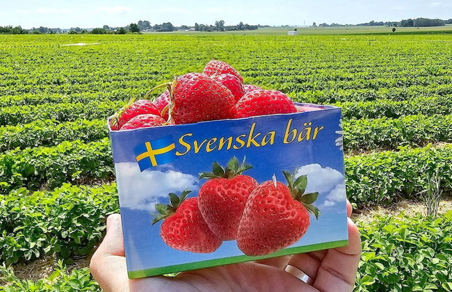 4 Star Holiday Home in Gersnes - Photo 10