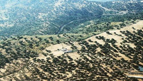 FINCA LAS DEHESILLAS - Foto 5