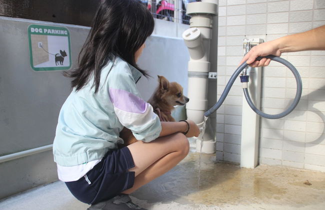 Coral Gate In Kume - Foto 24