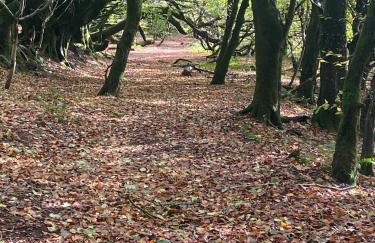 The Cottage at Churchill Farm - Foto 21