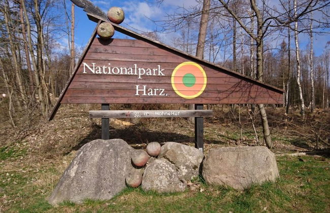 Holiday Home in Hasselfelde - Foto 12