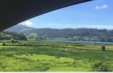 Casa Azul Rodiles - Foto 10