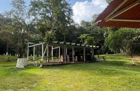 Casa com Igarapé - Photo 17