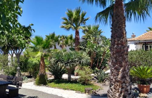 Finca Primavera - Foto 11