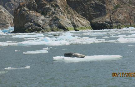 Accessible, Comfort, Convenient Location 106 - Foto 14