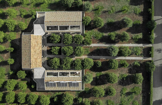 Agriturismo Terra dei Limoni - Foto 35