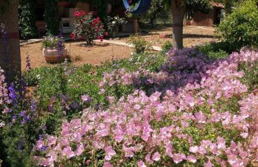 Monica's Country House - Foto 40