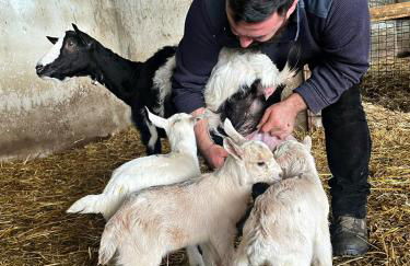 Domus de Goene - Foto 47