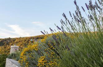 Apartments Željka - Foto 42