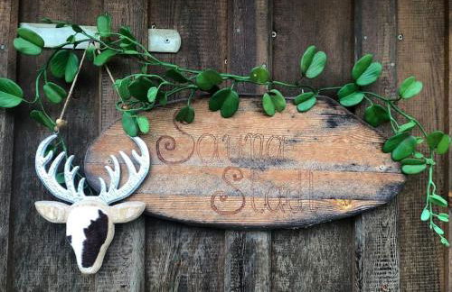 Ja, das gönn' ich mir. Sauna, Natur - alles hier. - Foto 28