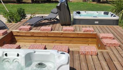 Pomme de Reinette - Photo 3