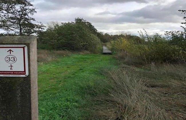 Chalet in Holiday Park With Private Terrace - Photo 37